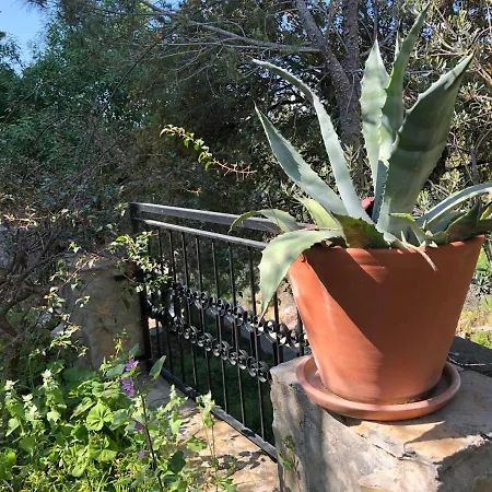 Tibet Holiday home *