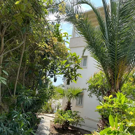 Tibet בית נופש יאליקאבאק