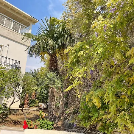 Tibet בית נופש *